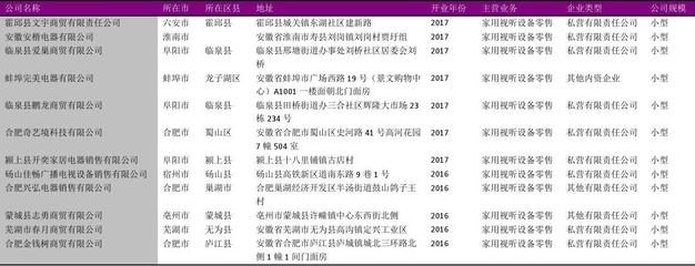 安徽省家用視聽設(shè)備零售行業(yè)發(fā)展報(bào)告（2018版）——基于1226家企業(yè)名錄的分析